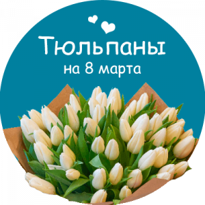 Купить тюльпаны в Ершове